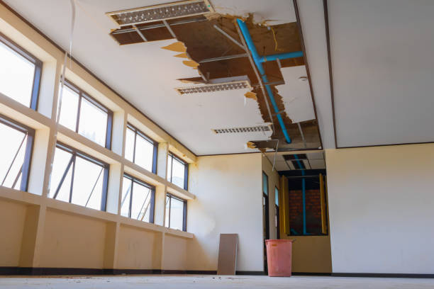 Best Flooded house restoration  in Winooski, VT