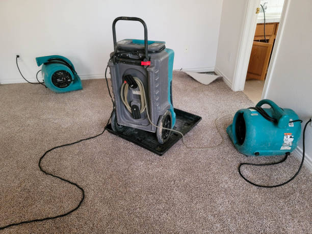Best Fire Damage Restoration  in Winooski, VT