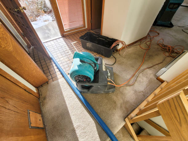 Best Water damage contractors near me  in Winooski, VT