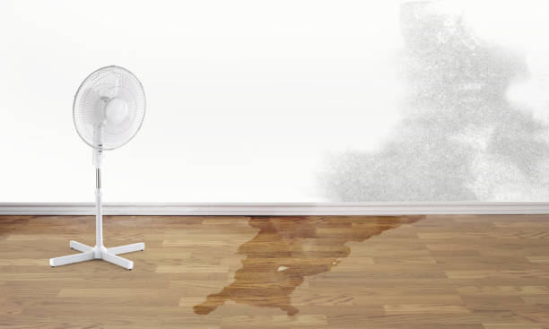 Best Ceiling water damage repair  in Winooski, VT
