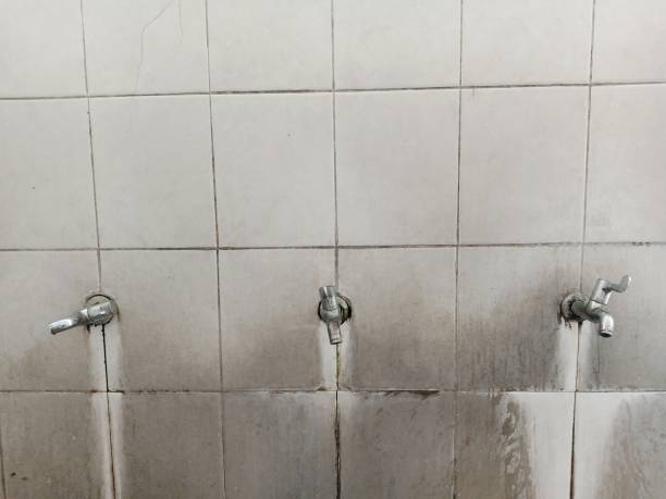 Best Flood damage cleanup  in Winooski, VT
