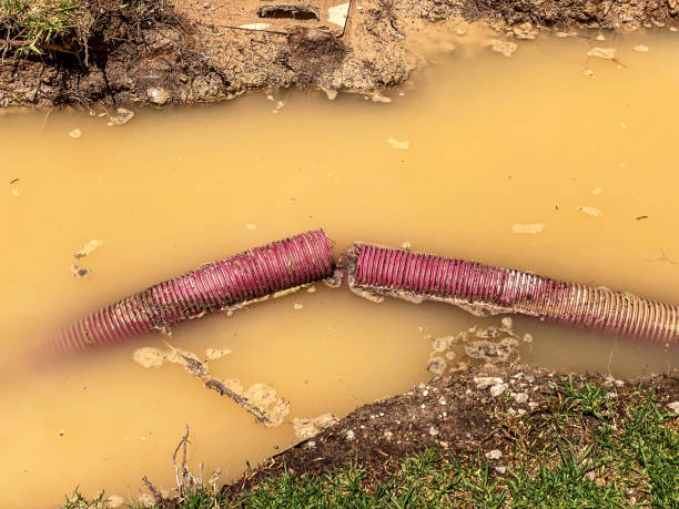 Best Water damage cleanup near me  in Winooski, VT